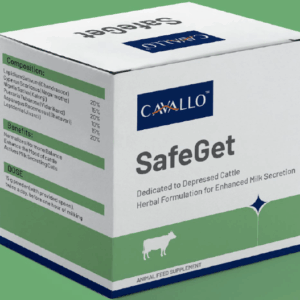 SafeGet