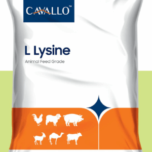 L Lysine