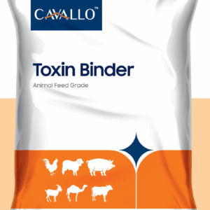 Toxin Binder